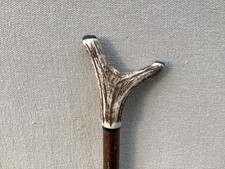 Red Deer Antler Walking Hazel