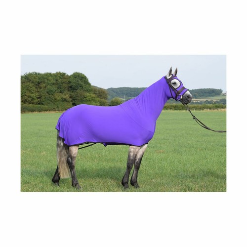 Belvoir rug company honsie - belvoir,