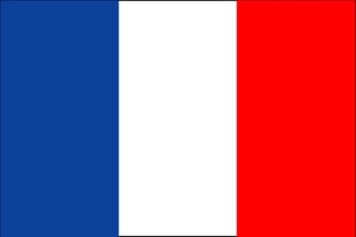 France flag 12 boats - 12",