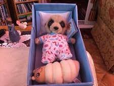 Compare the meerkat - toy, baby