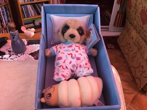 Compare the meerkat - -, baby