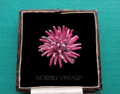 Vintage 1960s sea urchin - vintage,