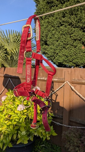 Monty roberts dually halter - monty,