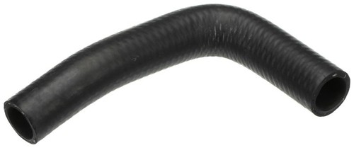Radiator hose upper - hose, pipe