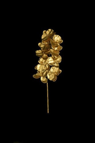 Gold phalaenopsis orchid - 4,