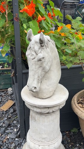 Stone horse head statue - horse, cm