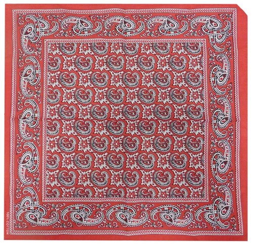 Vintage red paisley - paisley, 22"x22"