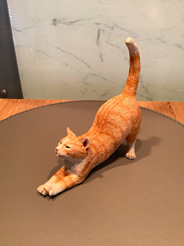 Ginger tabby cat - cat, stretching