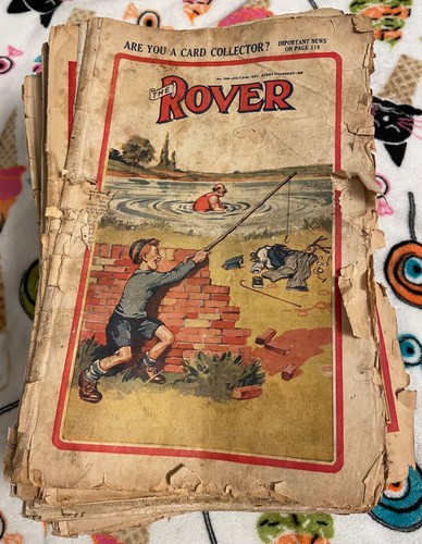 Job lot 201 the rover - job,