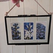 Pressed flower cards in frame