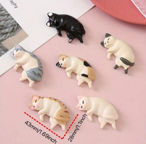 Pack cartoon cat - 6-pack,