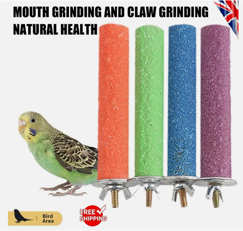 Bird perch beak claw - perch,