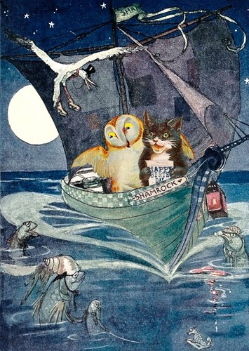 Owl the pussycat - owl,
