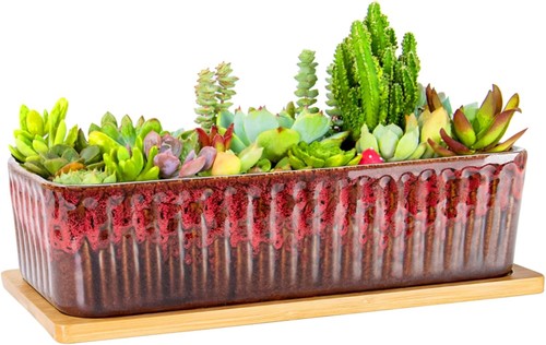Artketty succulent plant pot - plant,
