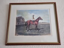 Nijinsky Racehorse With Jockey
