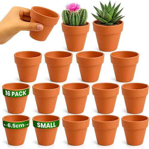 Pack terracotta plant - plant, pots