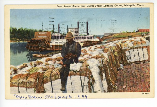 Levee scene loading cotton - scene",