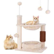 Small Cat House Activity