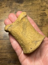 Fossil Hadrosaur Finger Bone Dinosaur Judith River Formation Montana.
