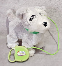 White Fluffy Puppies Walking