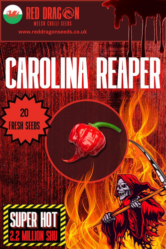 Carolina reaper chilli seeds - reaper,