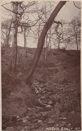 Esholt mill beck - esholt,