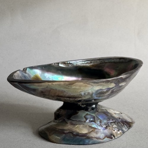 Genuine paua shell trinket - paua,
