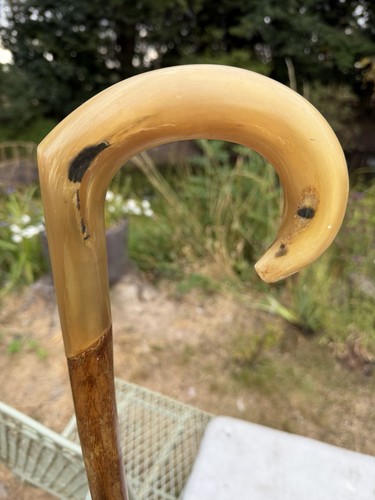 Vintage horn handled beaters - horn,