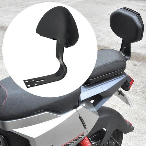 Motorcycle sissy bar passenger - sissy,