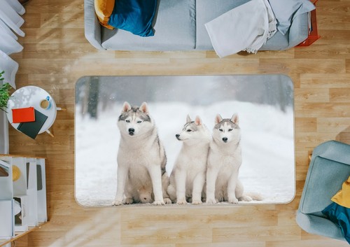 Snow husky zhub11037 game - 3d,
