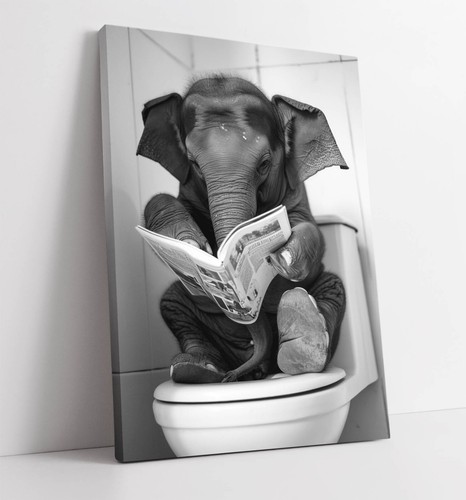 Baby elephant reading - reading, on