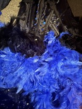  Show Girl fancy dress .burlesque