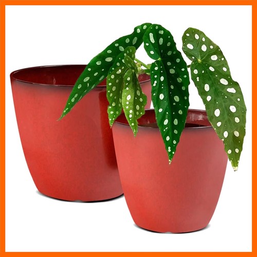 Pack plant pots durable - 2,