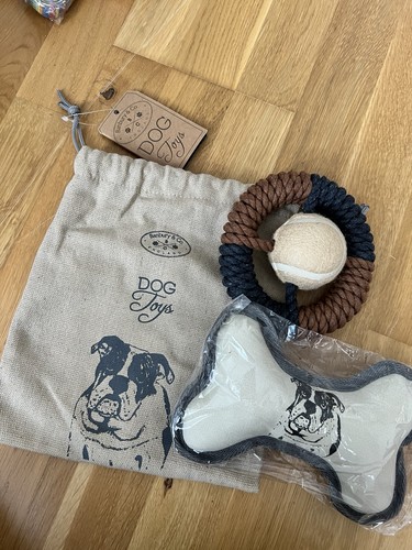 Pet stuff job lot - pet, cat