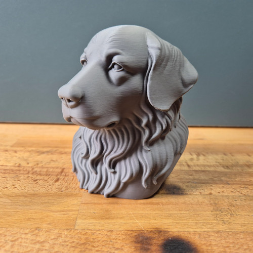 Pyrenean mountain dog - mountain, bust