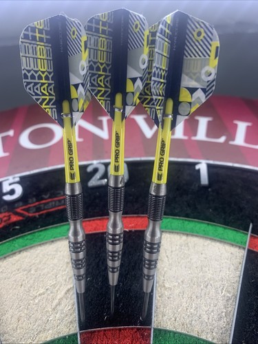 24g peter wright darts - peter,