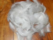 100 MALLARD DUCK GREY FLANK FEATHERS,FLY TYING,HAIR JEWELLERY ART & CRAFT
