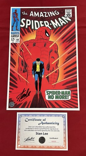 Amazing spider man litho - amazing,