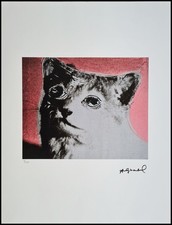 ANDY WARHOL * Cat * 70 x 50 cm