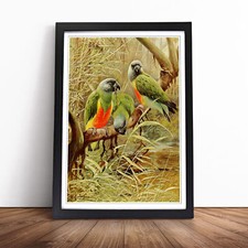 Vintage W Kuhnert Senegal