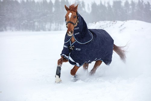 Horseware rambo duo - duo, turnout
