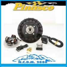 Ignition Advance Variable PINASCO Flytech 25356845 KG 1,1 Vespa Px 125 150