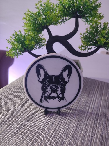 French bulldog frenchie - bulldog, "frenchie"