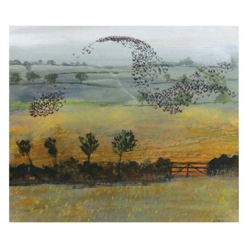 Starlings murmuration birds - starlings,