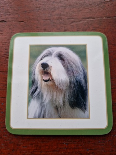 Bearded collie coaster - bearded,