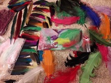 New 470 Assorted Feathers