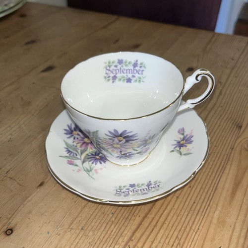 Regency english bone china tea - bone,
