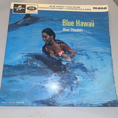 Wout steenhuis blue - wout, hawaii