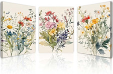 Set of 3 Framed Canvas Wall