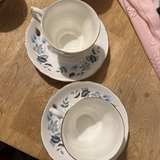 Colclough Linden Bone China Cup and Saucer set of 2